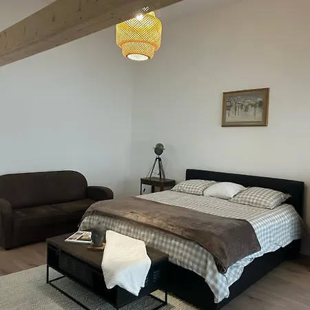 Maison Colmar, Spacieuse, Accueillante , Confortable Au Calme Appartamento Colmar