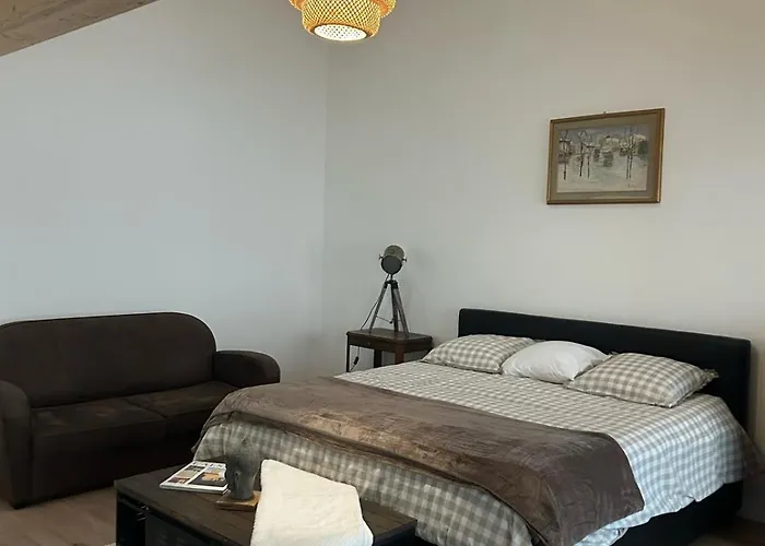 Maison Colmar, Spacieuse, Accueillante , Confortable Au Calme Appartamento Colmar