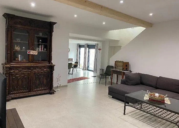 公寓 Maison Colmar, Spacieuse, Accueillante , Confortable Au Calme *