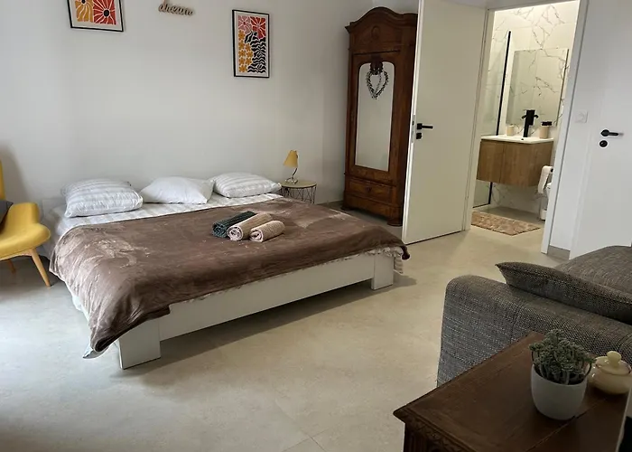 Maison Colmar, Spacieuse, Accueillante , Confortable Au Calme